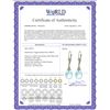 Image 2 : Genuine 6 ctw Blue Topaz Earrings 14KT Rose Gold - REF-27P8H