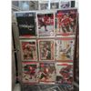 Image 3 : 4 Binders Full of Hockey Cards