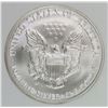 Image 2 : 2007-W AMERICAN SILVER EAGLE