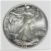 Image 1 : 1989 AMERICAN SILVER EAGLE