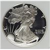 Image 1 : 1995-W AMERICAN SILVER EAGLE