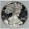 Image 1 : 1989 AMERICAN SILVER EAGLE