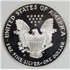 Image 2 : 1993 AMERICAN SILVER EAGLE