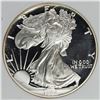 Image 1 : 1994 AMERICAN SILVER EAGLE