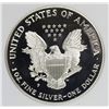 Image 2 : 1996 AMERICAN SILVER EAGLE