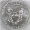 Image 2 : 2013-W AMERICAN SILVER EAGLE