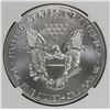 Image 2 : 2015 AMERICAN SILVER EAGLE