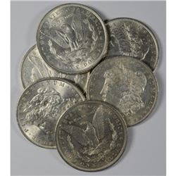 (6) Random Date BU Morgan Dollars-No 21s