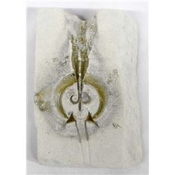 Native American Navajo Naja Tufa Stone