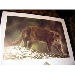 A Glance cougar print by Lesley Harri
