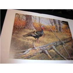 Wild Turkey print by Ken Smallwood