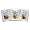 Image 1 : 2006-W 3-Coin Gold Eagle Set MS/SP/PR-70 PCGS (FS\, Registry Set)