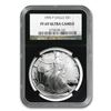 Image 1 : 1995-P Proof Silver American Eagle PF-69 NGC (Retro Black Insert)