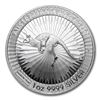 Image 1 : Australia 1 oz Silver Kangaroo BU (Random Year)