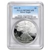 Image 1 : 2001-W Proof Silver American Eagle PR-70 PCGS