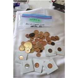Bag of Copper Coins (Approx 50)