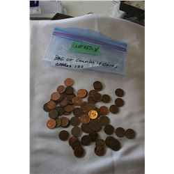 Bag of U.S. One Cent Coins (Approx. 100)