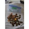 Image 1 : Bag of U.S. One Cent Coins (Approx. 100)