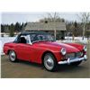 Image 1 : RESERVE LIFTED!! SELLING TO THE FINAL BID!!  1969 MG CONVERTIBLE