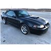 Image 2 : 2004 FORD MUSTANG CONVERTIBLE