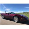 Image 2 : 1993 CHEVROLET CORVETTE 40TH ANNIVERSARY EDITION