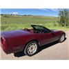 Image 3 : 1993 CHEVROLET CORVETTE 40TH ANNIVERSARY EDITION