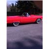 Image 3 : 1956 FORD THUNDERBIRD CONVERTIBLE ROADSTER