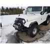 Image 3 : 1980 JEEP CJ7 CUSTOM