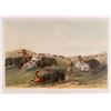 Image 1 : George Catlin, handcolored chromolithograph