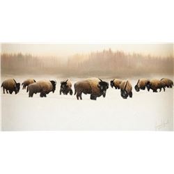 George Smith, two oils