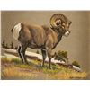 Image 3 : Elmer Sprunger, five oils