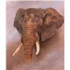 Image 1 : Ed Aldrich, oil on canvas