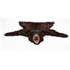 Image 1 : British Columbia Black Bear Rug