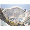 Image 1 : Elmer Sprunger, three oils