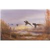 Image 1 : Tom Sander, watercolor