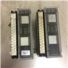 Image 2 : (2) Allen-Bradley 1791-16A0 Ser A I/O Block