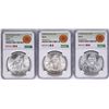 Image 1 : Lot of 1977Mo-1979Mo Mexico 100 Pesos Silver Coins NGC MS64