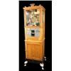 Image 1 : "Iron Claw"  Coin-op   Arcade Machine