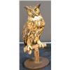 Image 1 : Stuffed  Great Western Horned Owl