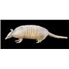 Image 1 : Stuffed Armadillo