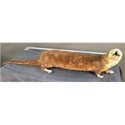 Stuffed Otter
