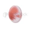 Image 2 : Alien: Covenant Human Embryo Slide