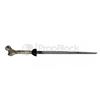 Image 1 : The Strain Quinlan's Bone Sword
