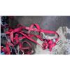 Image 3 : SAFETY HARNESS