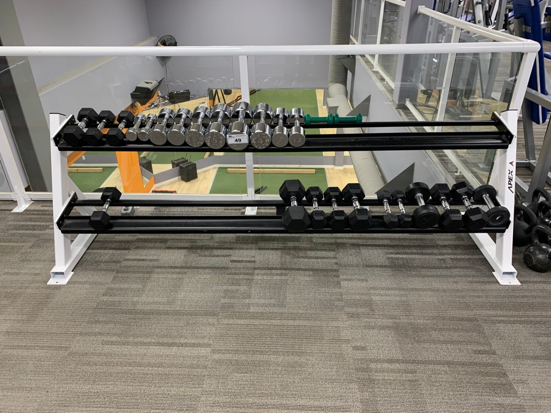 ASSORTED DUMBBELLS & WHITE APEX WEIGHT RACK