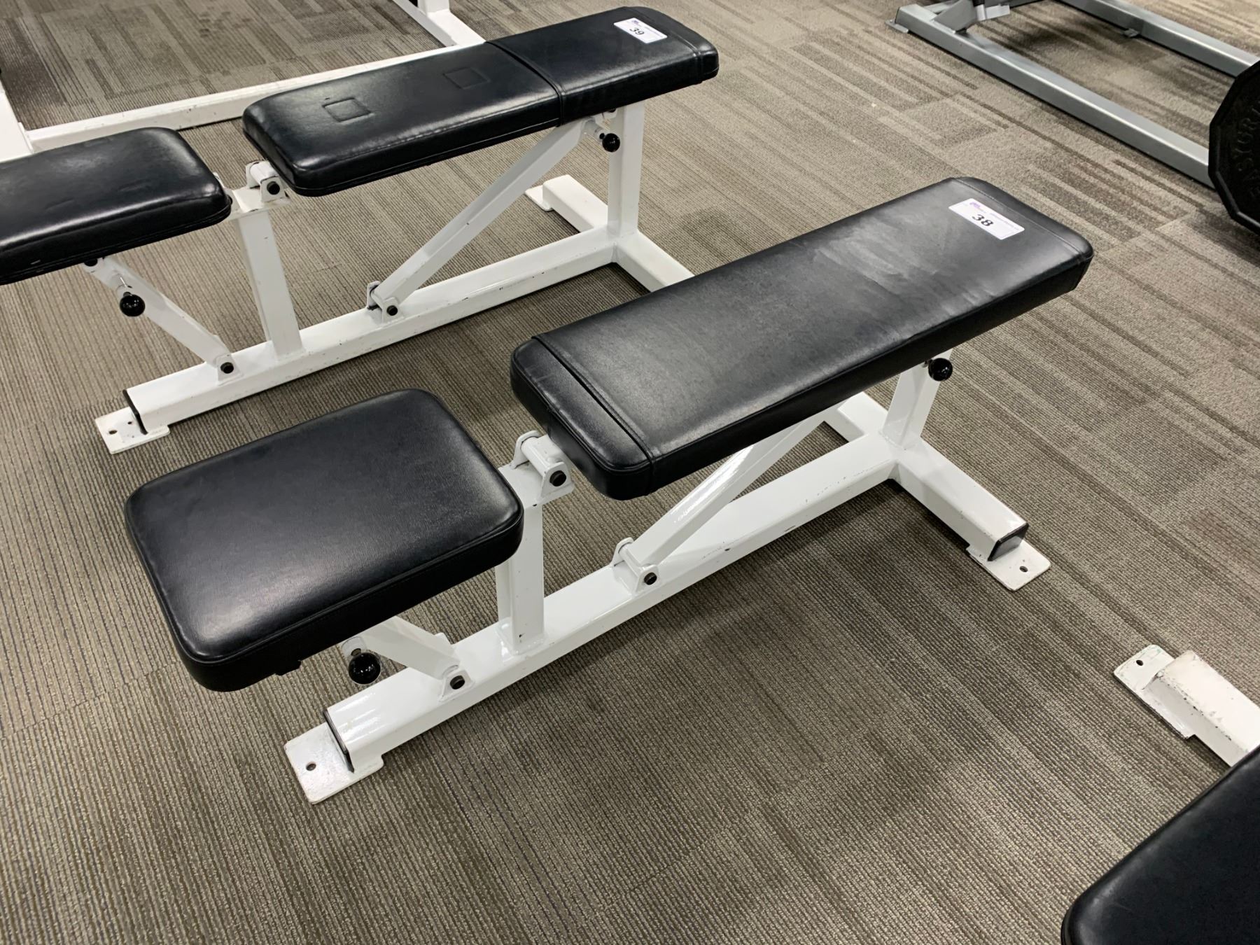 Black White Apex Adjustable Weight Bench Able Auctions Black White Apex Adjustable Weight Bench Able Auctions