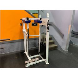 APEX STANDING CALF RAISE MACHINE - Able Auctions
