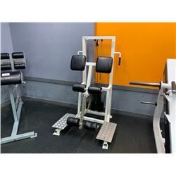 APEX CALF CURL MACHINE