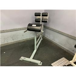 APEX BACK EXTENSION BENCH