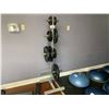 Image 1 : GREY FREE WEIGHT PLATE RACK WITH ASSORTED WEIGHTS